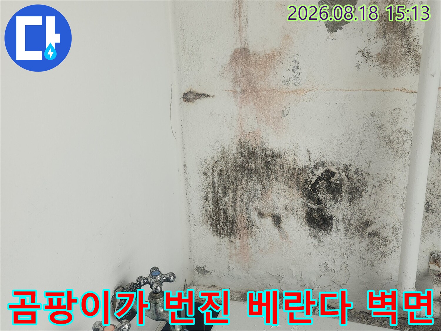 배관 주변에 발생한 검은 곰팡이와 습기 얼룩 사진