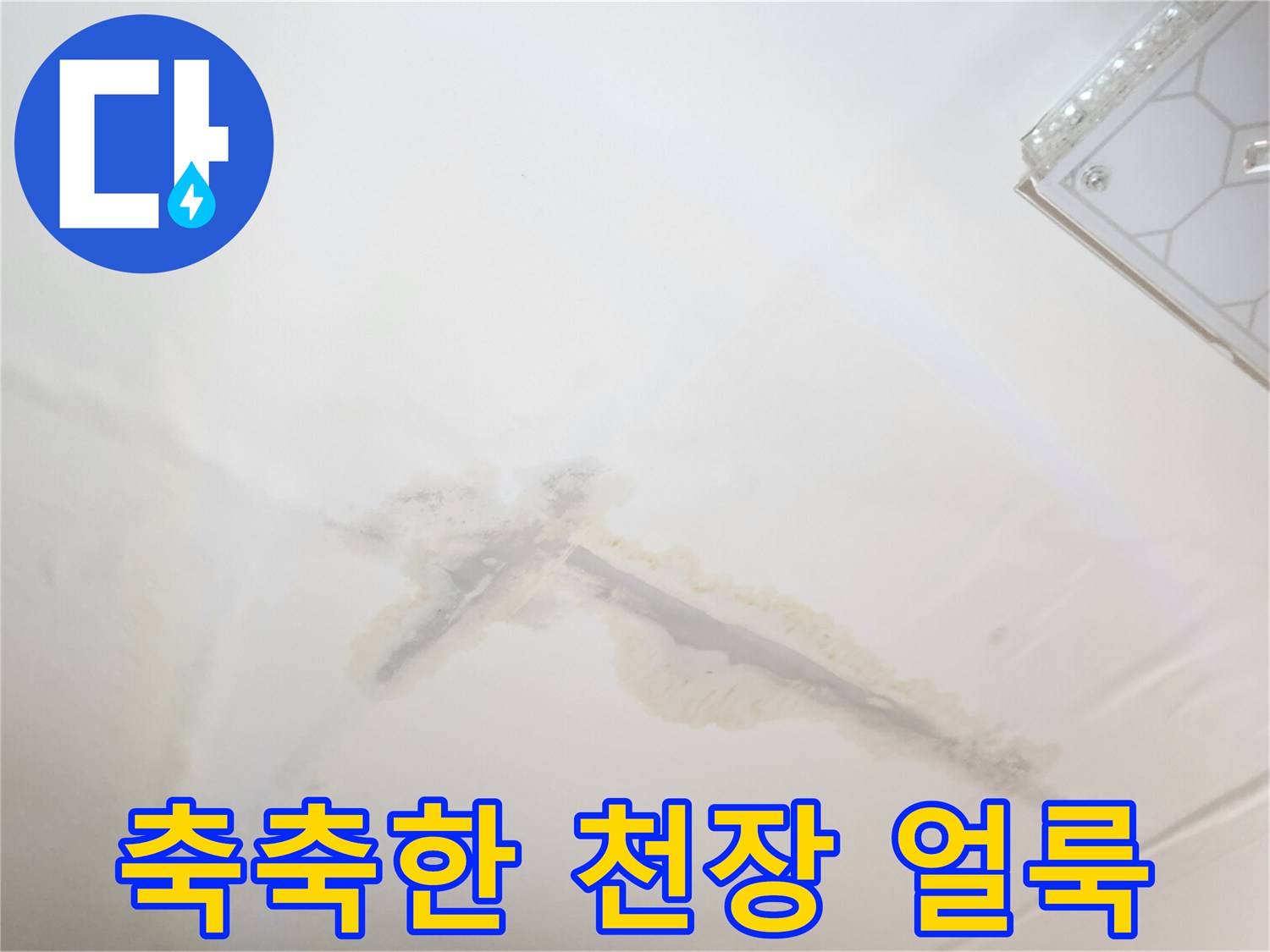 물에 젖어 변색된-천장 마감재 부분