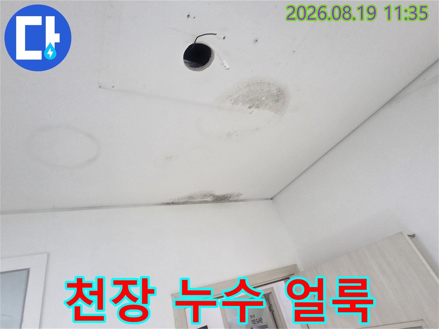 경기 광주 초월읍-천장 조명 주변의 누수 흔적과 곰팡이 상태
