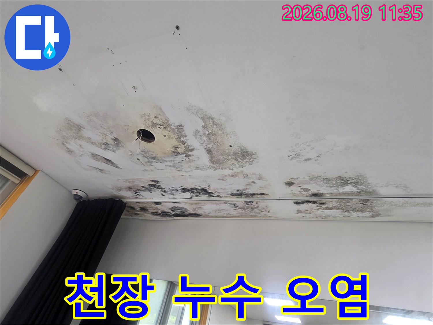 천장 조명 구멍 주변의 곰팡이와 변색된 모습입니다.