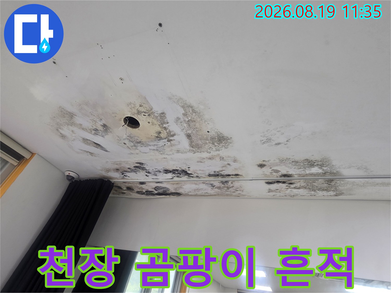 천장 조명 주변의 검은색 곰팡이와 얼룩진 마감재
