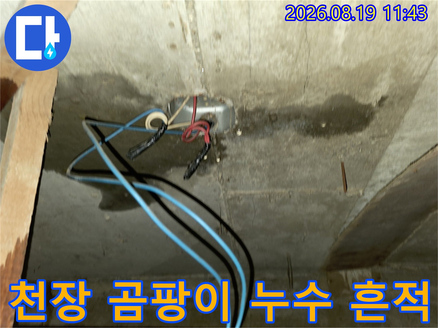 욕실 천장 콘크리트-습기로 인해 발생한 곰팡이와 얼룩