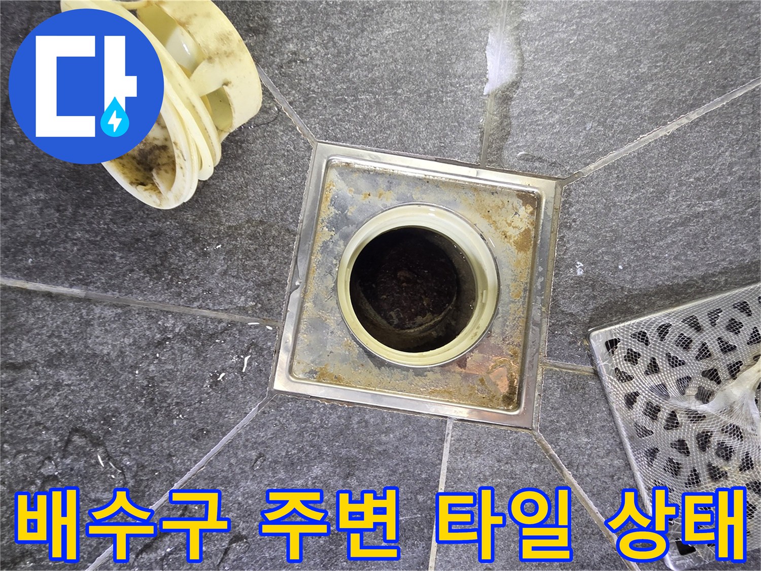 배수구-주변-타일-틈새의-오염과-습기-상태