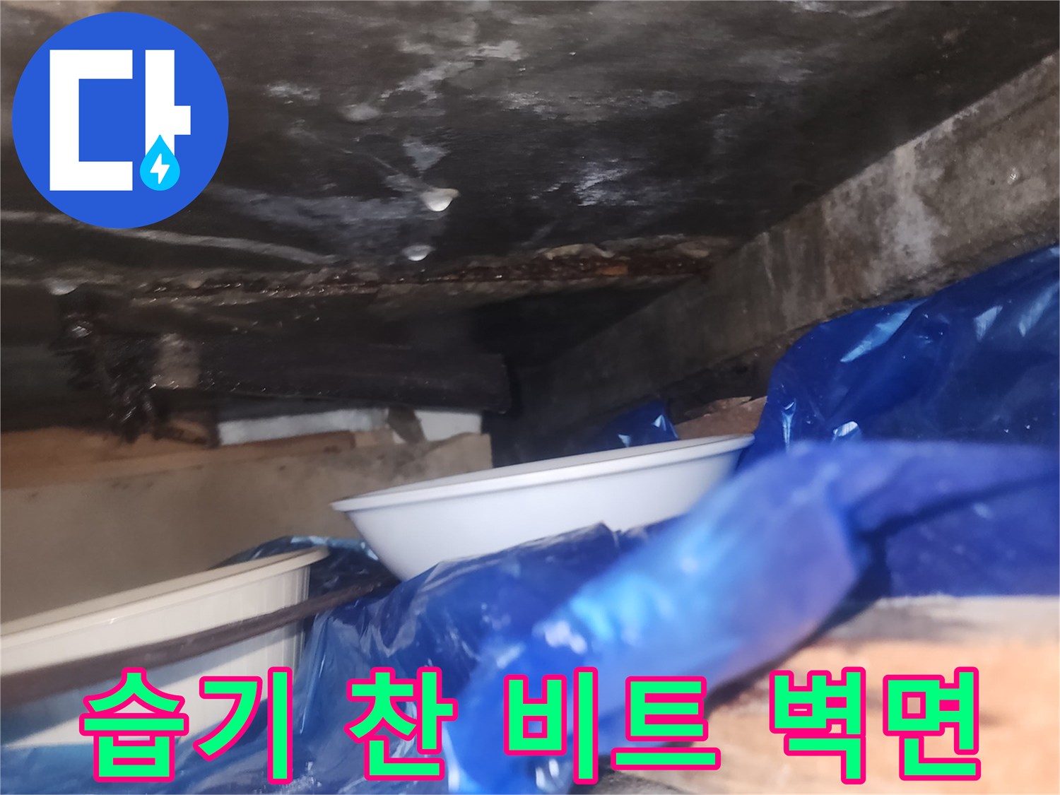 비트-내부-벽면의-습기와-철근-부식-상태