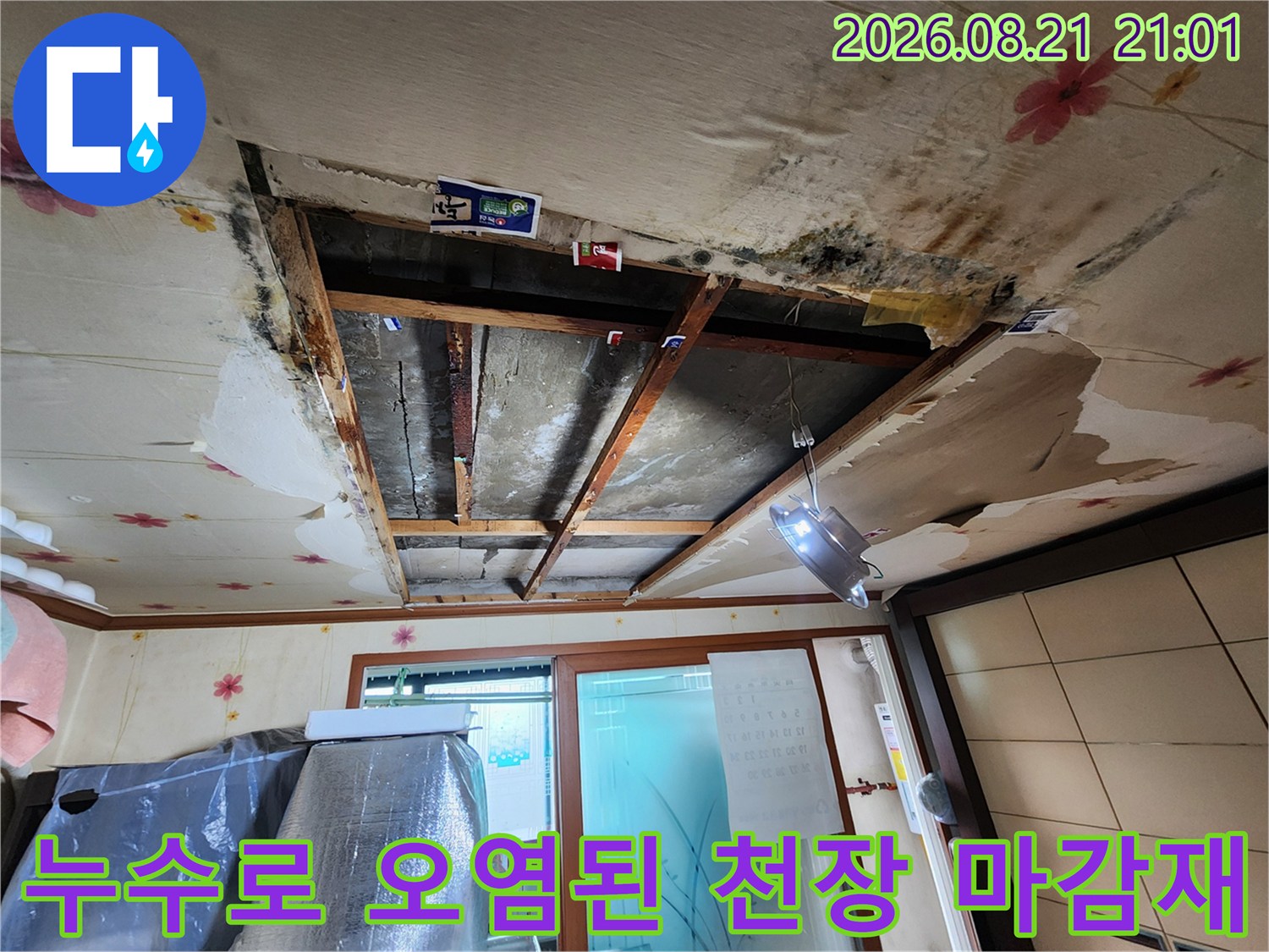 물에 젖어 변색되고 곰팡이가 핀 천장 도배지 부위