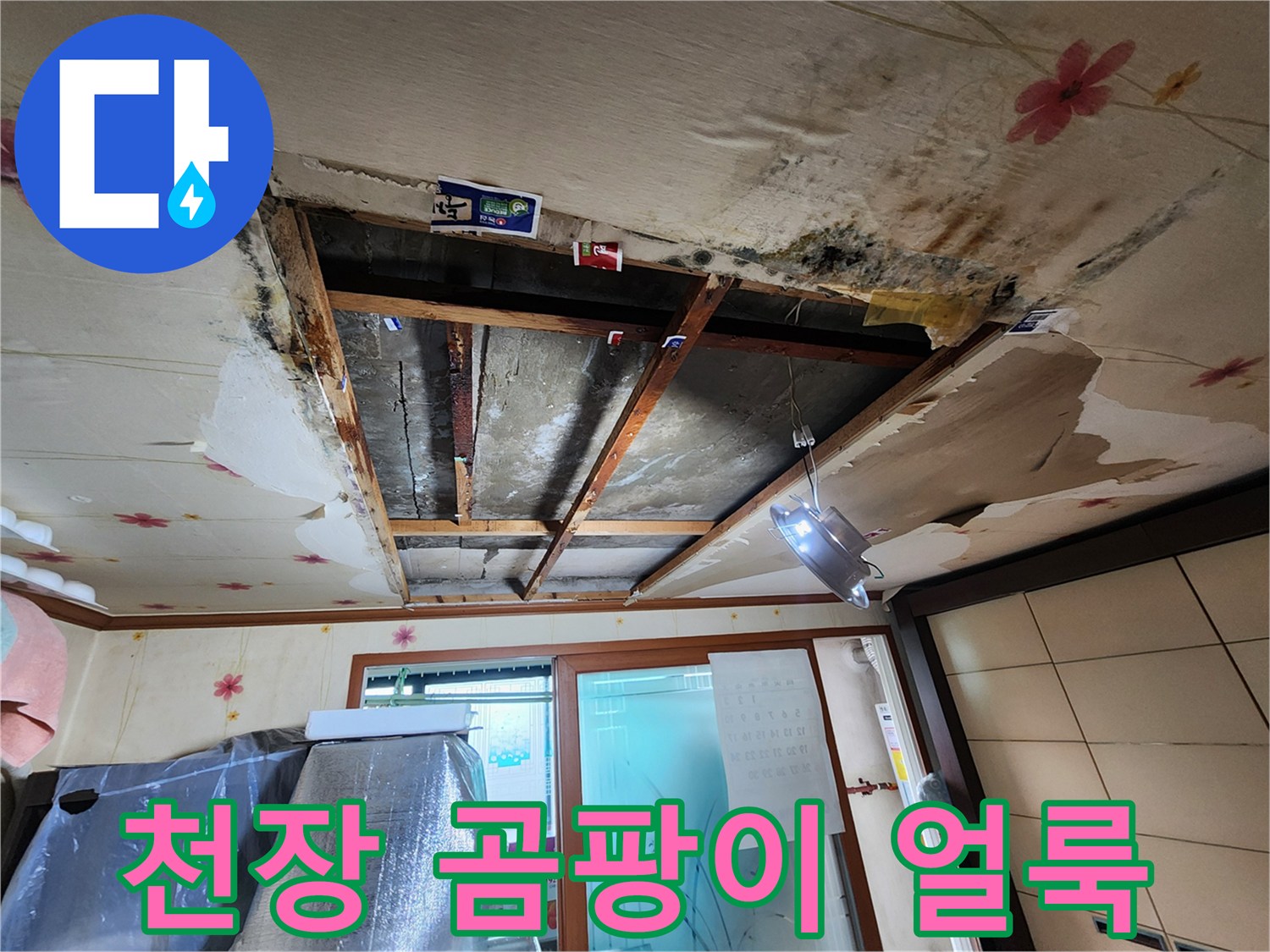 천장 벽지 사이로 번진 곰팡이와 물얼룩 현상