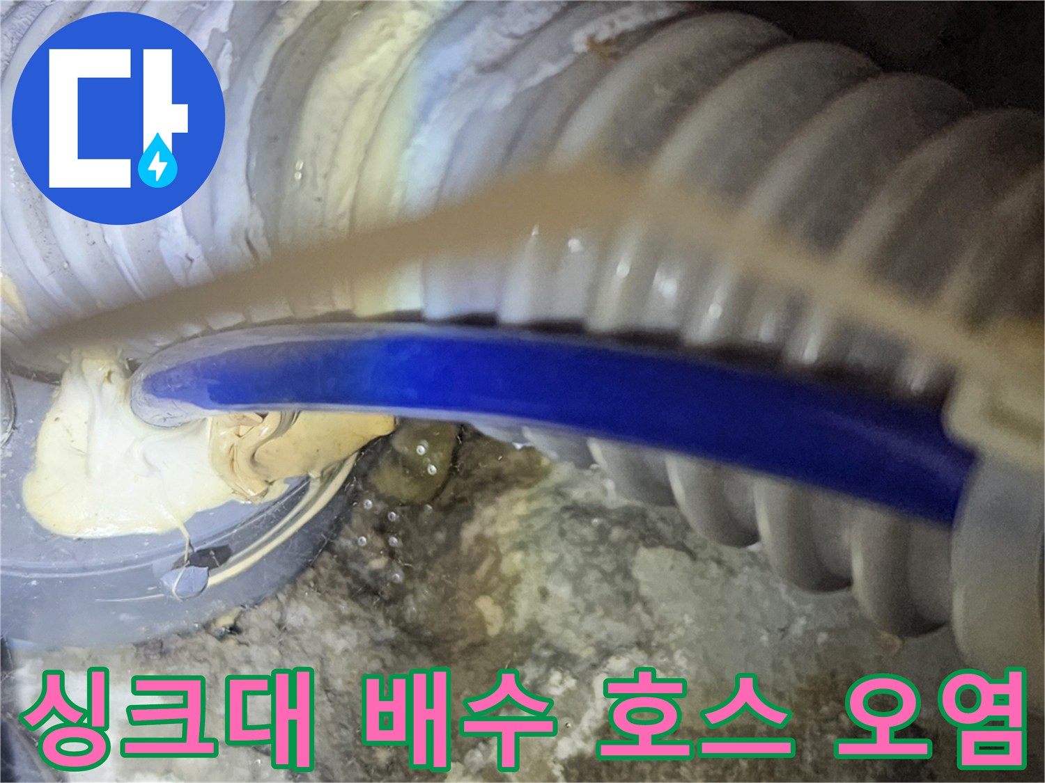 싱크대-배수호스와-주변-배관의-오염된-상태