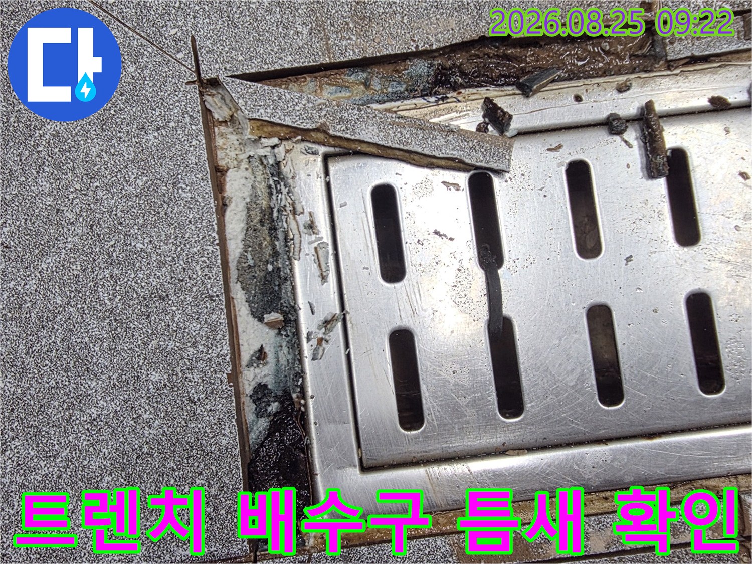 신현동 현장의 트렌치 배수구 주변 타일 균열 및 틈새 상태