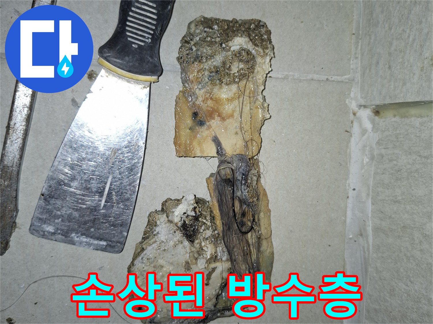 배수구 주변의 손상된 방수 모체와 이물질 상태