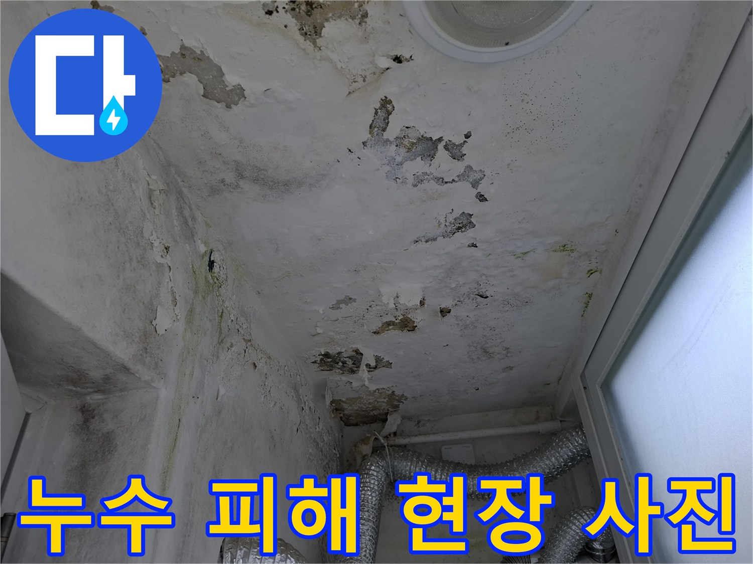 누수로 인해 훼손된 천장 마감재와 곰팡이 흔적