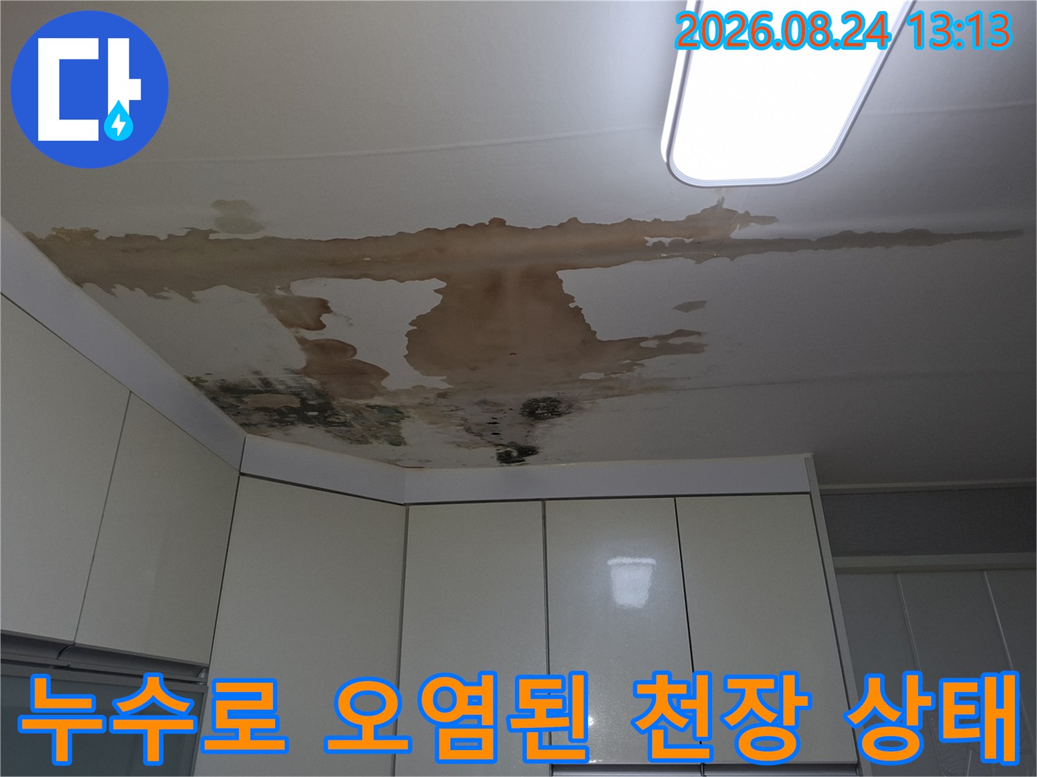 천장에 발생한 넓은 범위의 누수 흔적과 곰팡이 부위