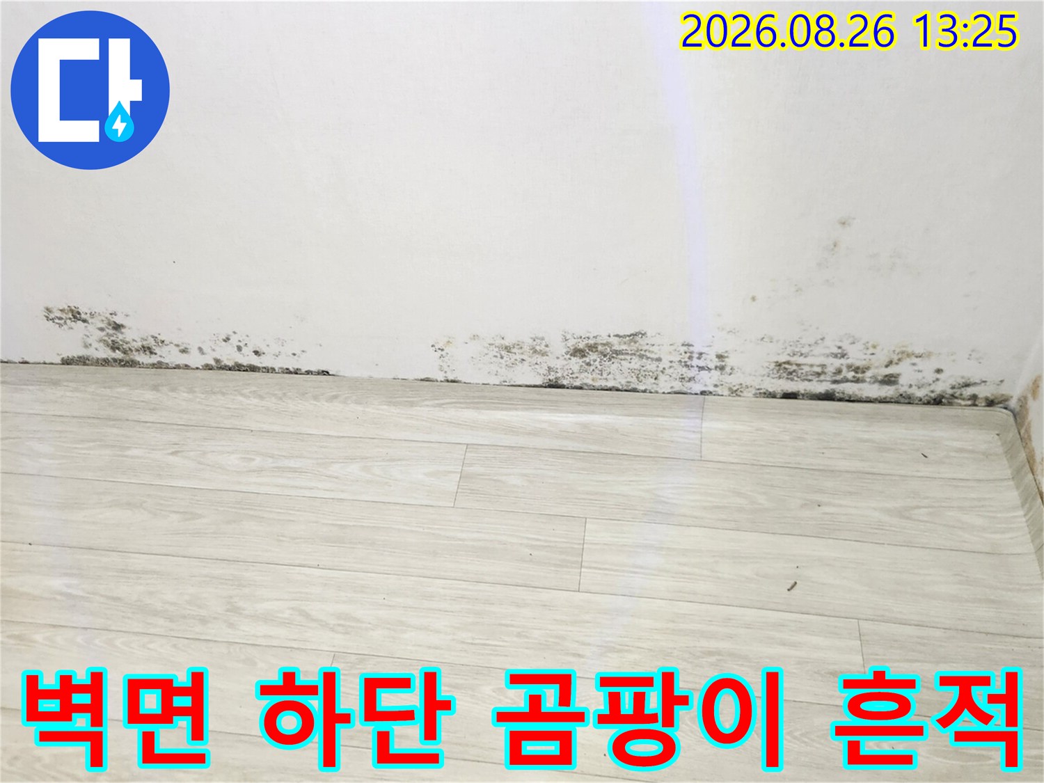 남양주 진접읍 주택-벽면과 바닥 경계 부위의 곰팡이 발생 상태