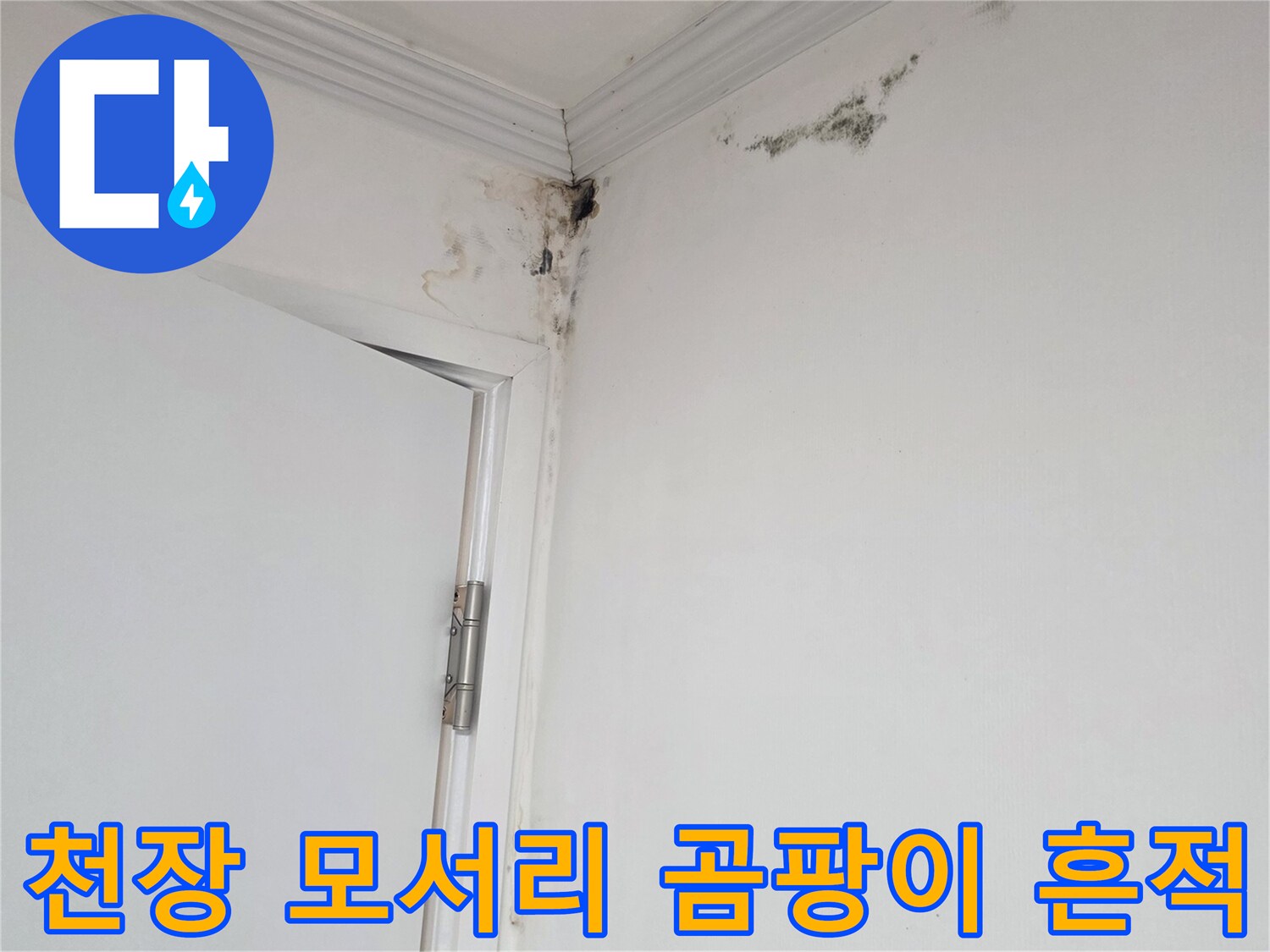 아파트-천장-모서리에-발생한-검은색-곰팡이와-물자국