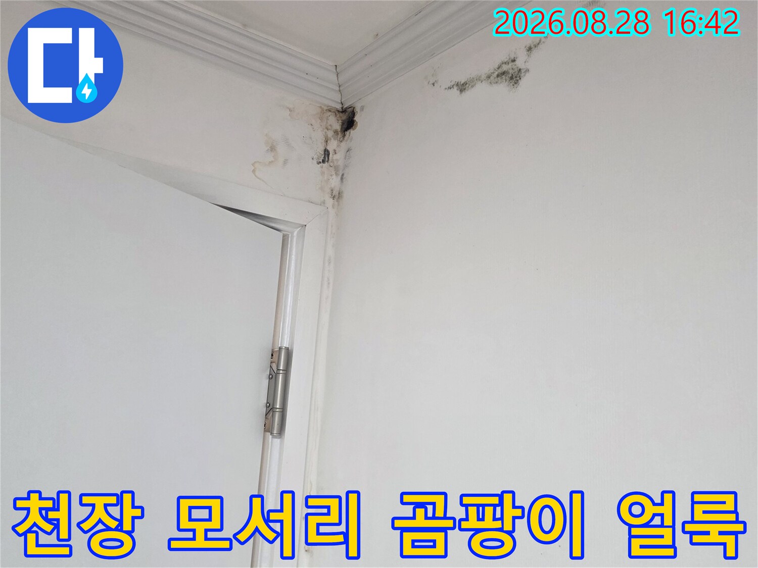 용인 기흥구 아파트 천장 모서리에 발생한 검은 곰팡이와 물자국