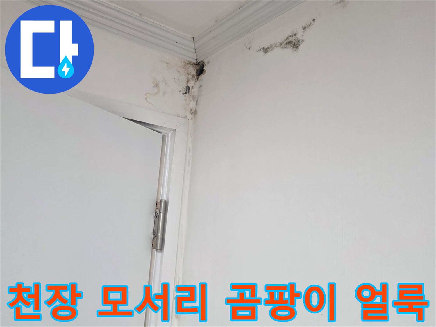 용인 기흥구 아파트 천장 모서리에 발생한 검은 곰팡이와 습기 흔적