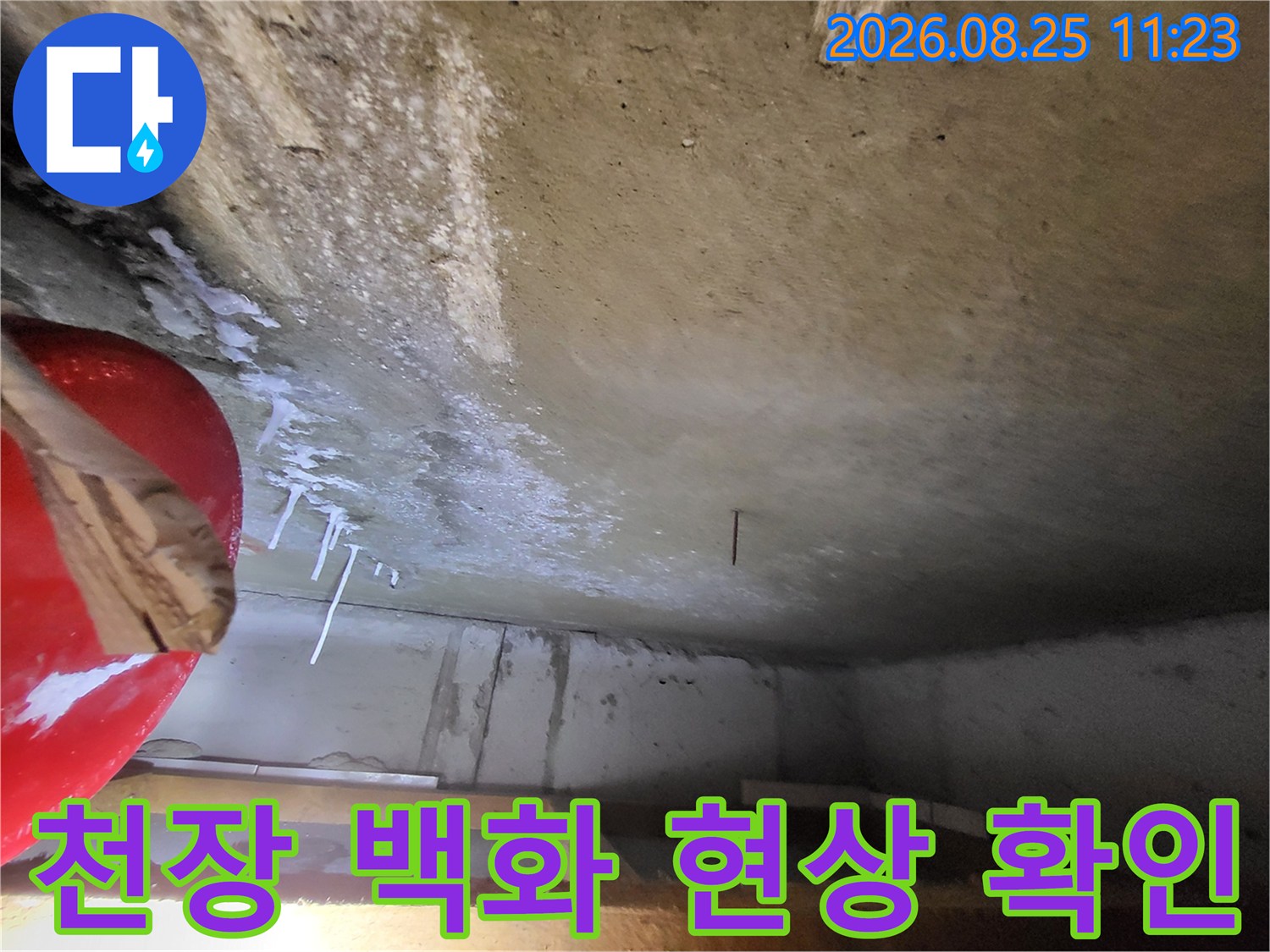 고양시 중산동 화장실 천장에 발생한 하얀 백화 현상과 석회물 흔적