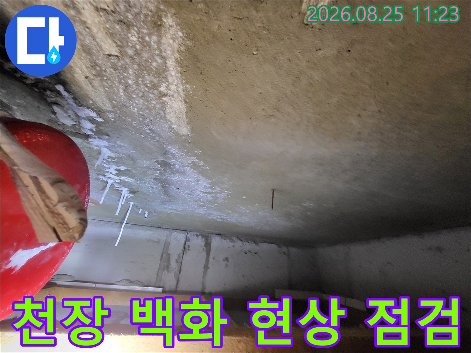 고양시 중산동 화장실 천장에 발생한 하얀색 백화 현상과 석회물 고드름 상태