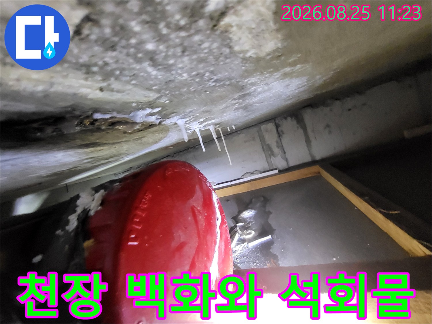 일산동구 중산동 화장실 천장에 형성된 하얀 백화 현상과 고드름 모양의 석회물
