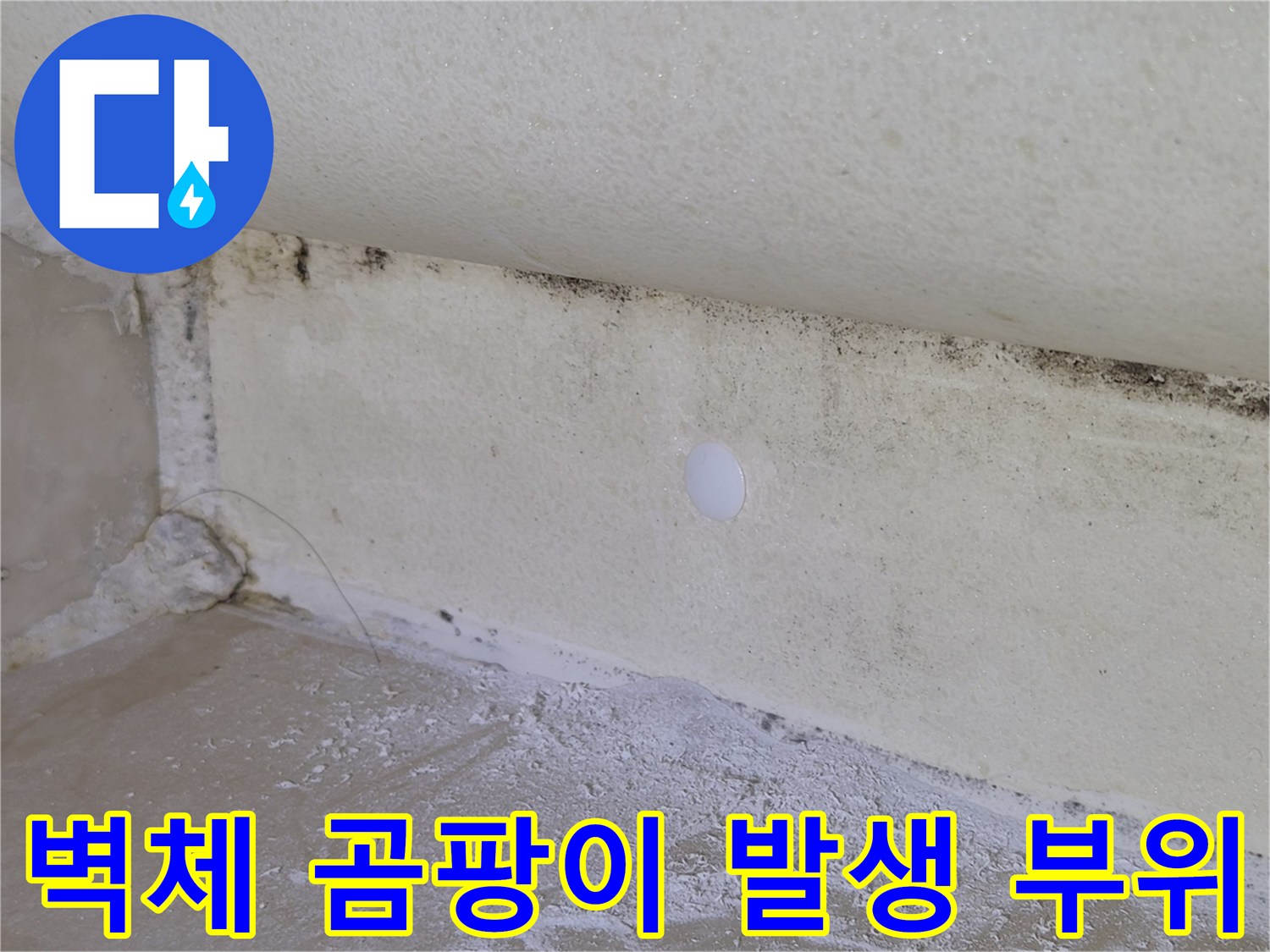 욕실 상단 벽체 - 누수로 인해 오염된 마감재와 곰팡이