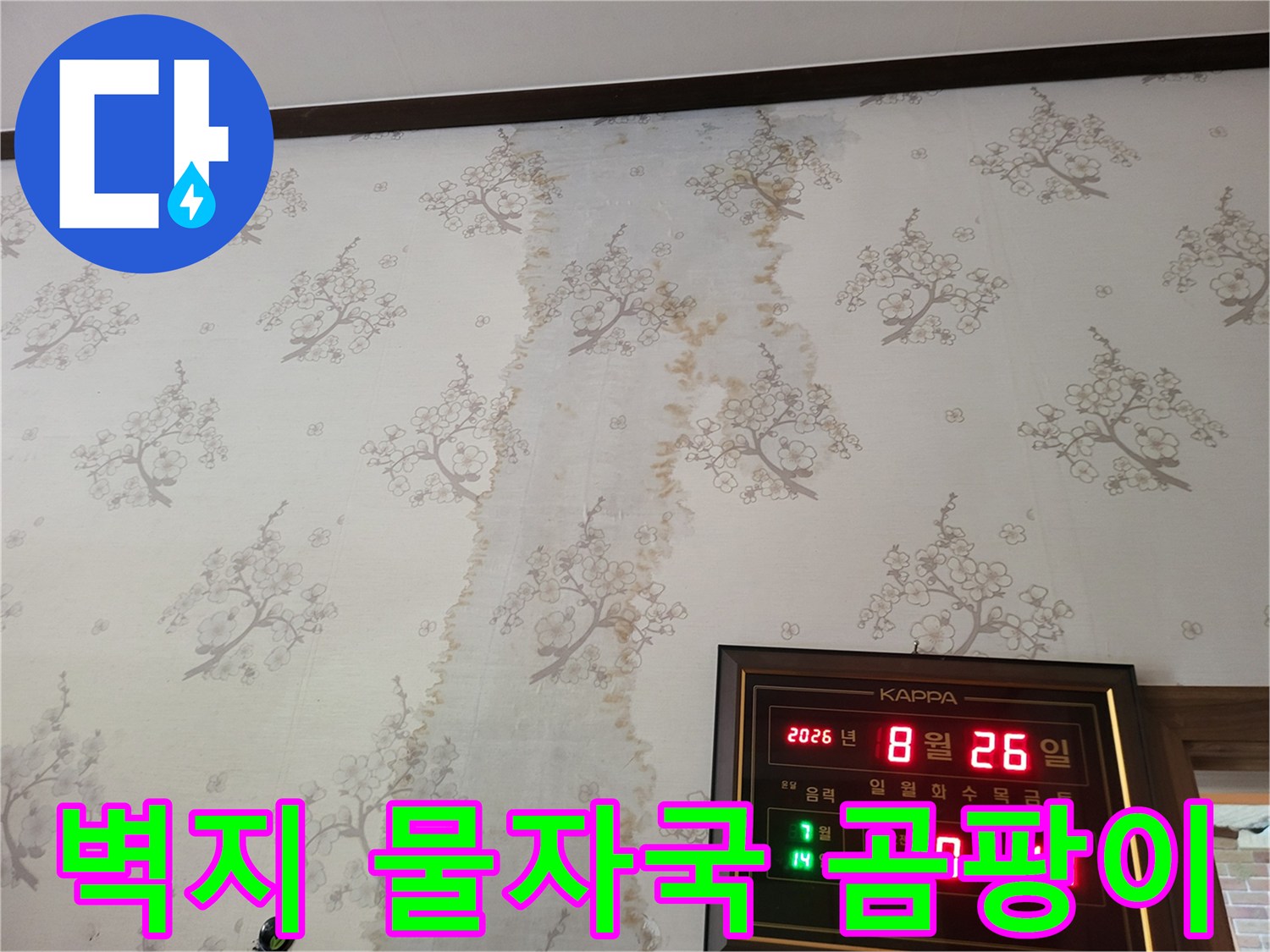 보령 남포면 현장의 벽지 오염 및 곰팡이 발생 상태