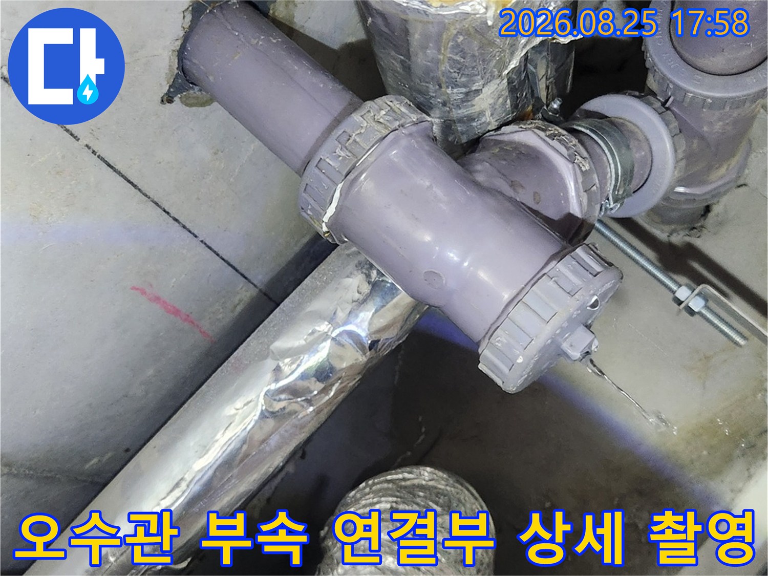 문제가 된 오수관 부속과 보라색 배관의 접합 부분 상세 사진입니다.