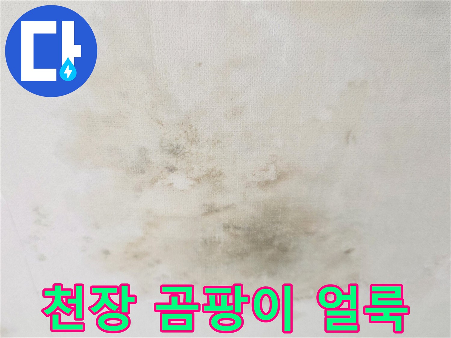 거실-천장에-넓게-퍼진-물자국과-곰팡이