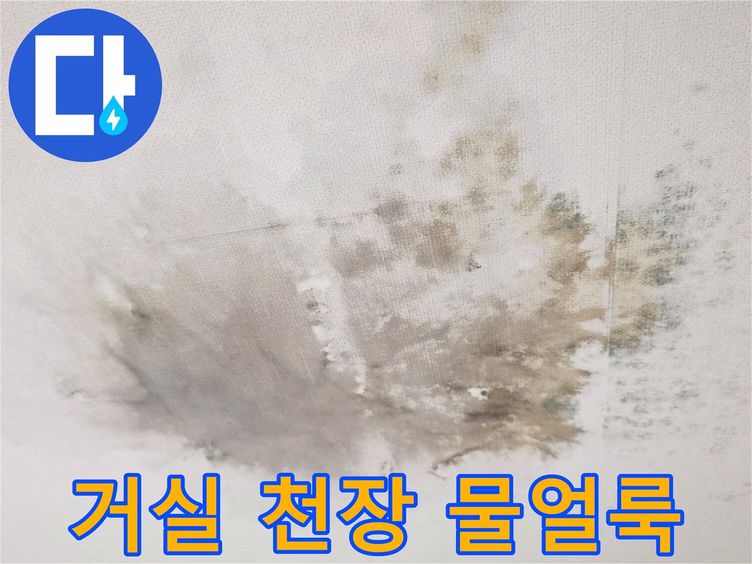 경기 광주 송정동 빌라 거실 천장에 발생한 넓은 범위의 누수 흔적과 곰팡이