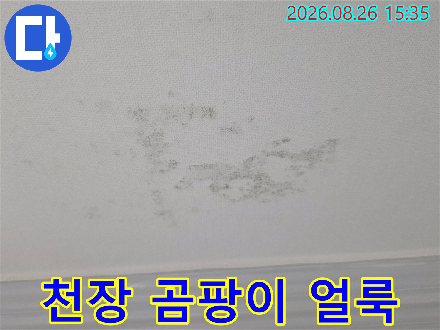 경기 광주 송정동 빌라 천장에 발생한 곰팡이와 습기 흔적