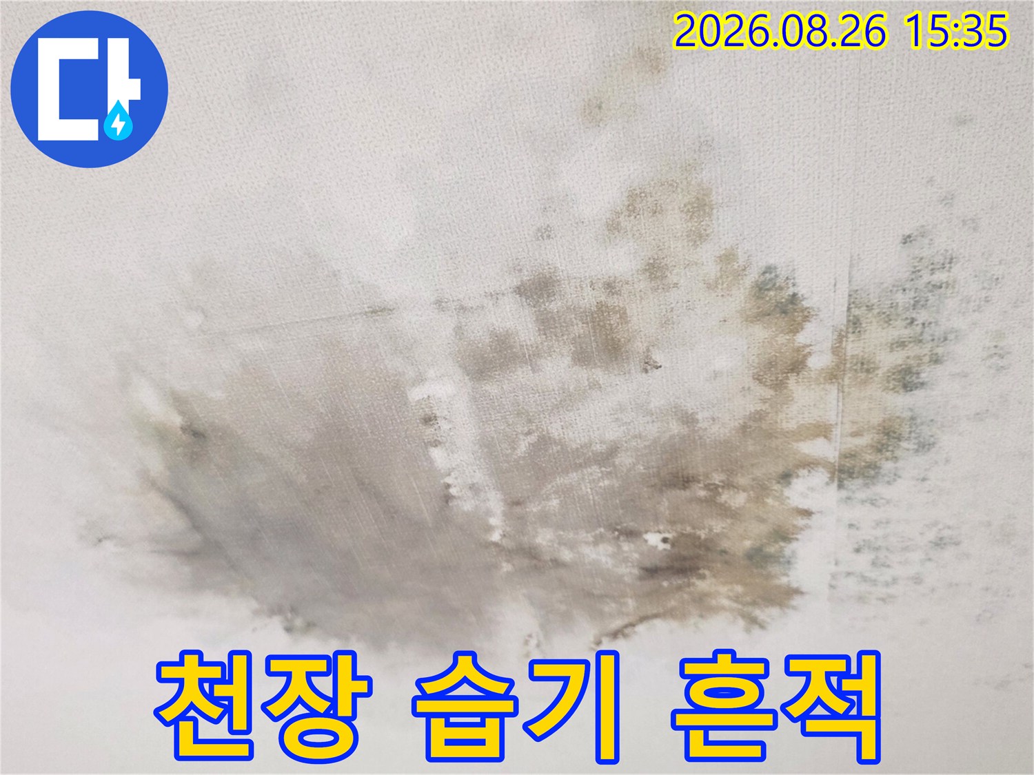 물샘 현상으로 인해 어둡게 변한 천장 벽지 부위