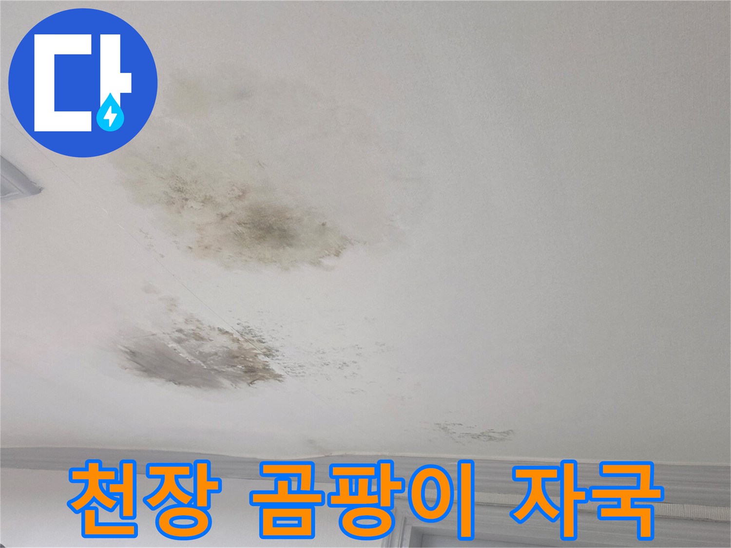 천장 벽면의 젖은 흔적 - 지속적인 침투로 인한 곰팡이 번식 상태