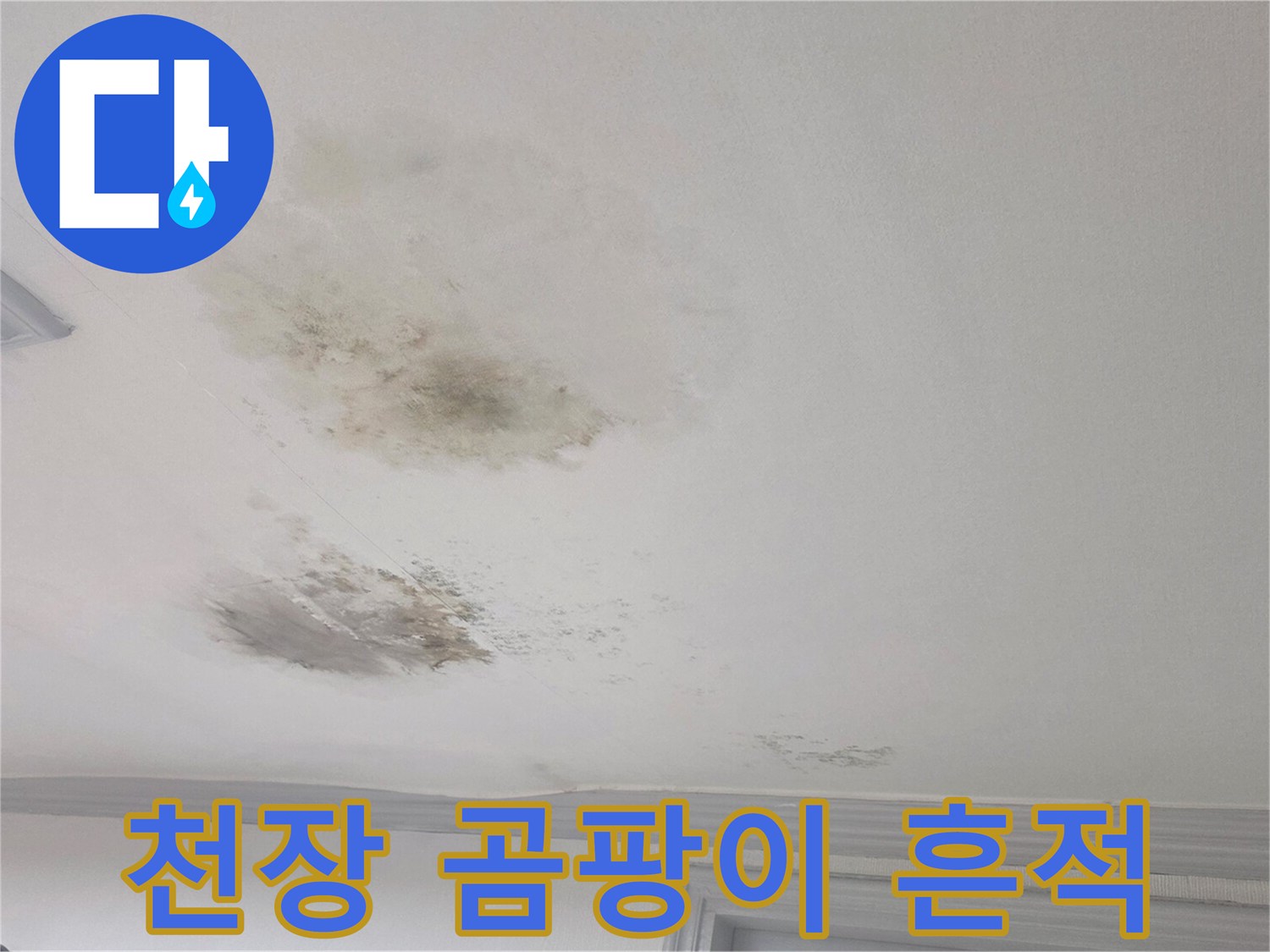 천장 벽지를 타고 번진 누수 자국과 곰팡이 오염 부위