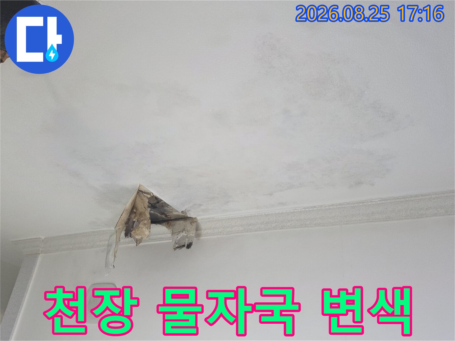 물에 젖어 어둡게 변해버린 하안천장 벽지의 근접 촬영 사진입니다.
