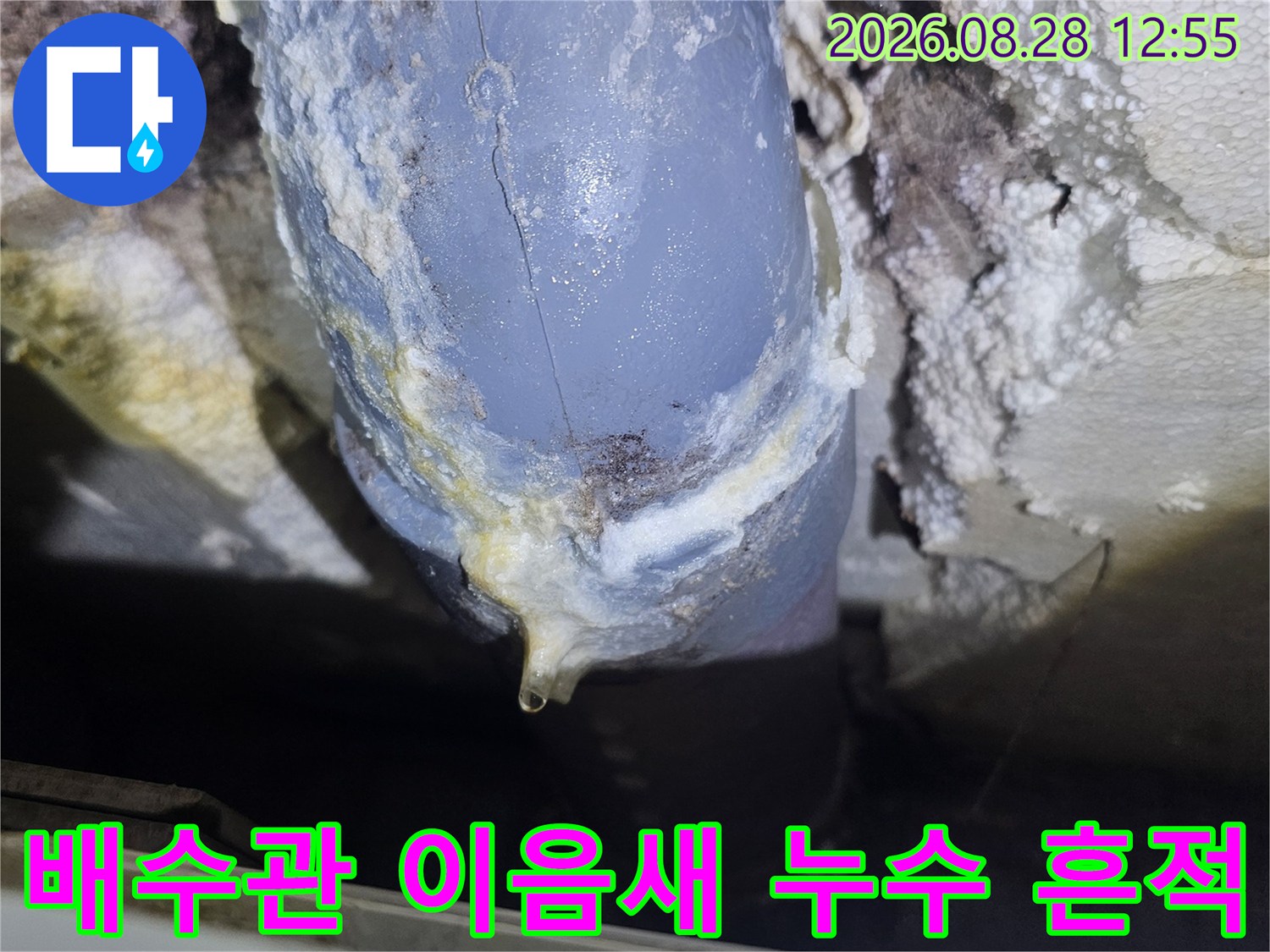 강북구 수유동 빌라-배수관 연결 부위의 누수 흔적과 하얀 백화 현상