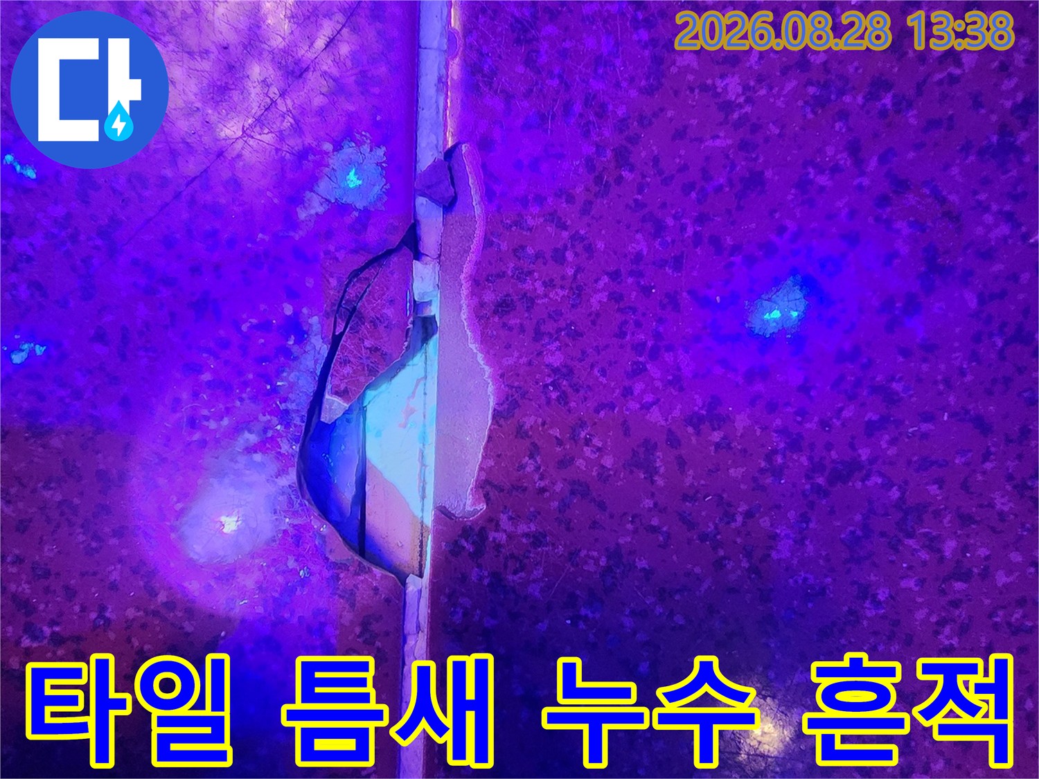 어두운 지하 공간에서-형광 반응으로 나타난 타일 틈새 누수