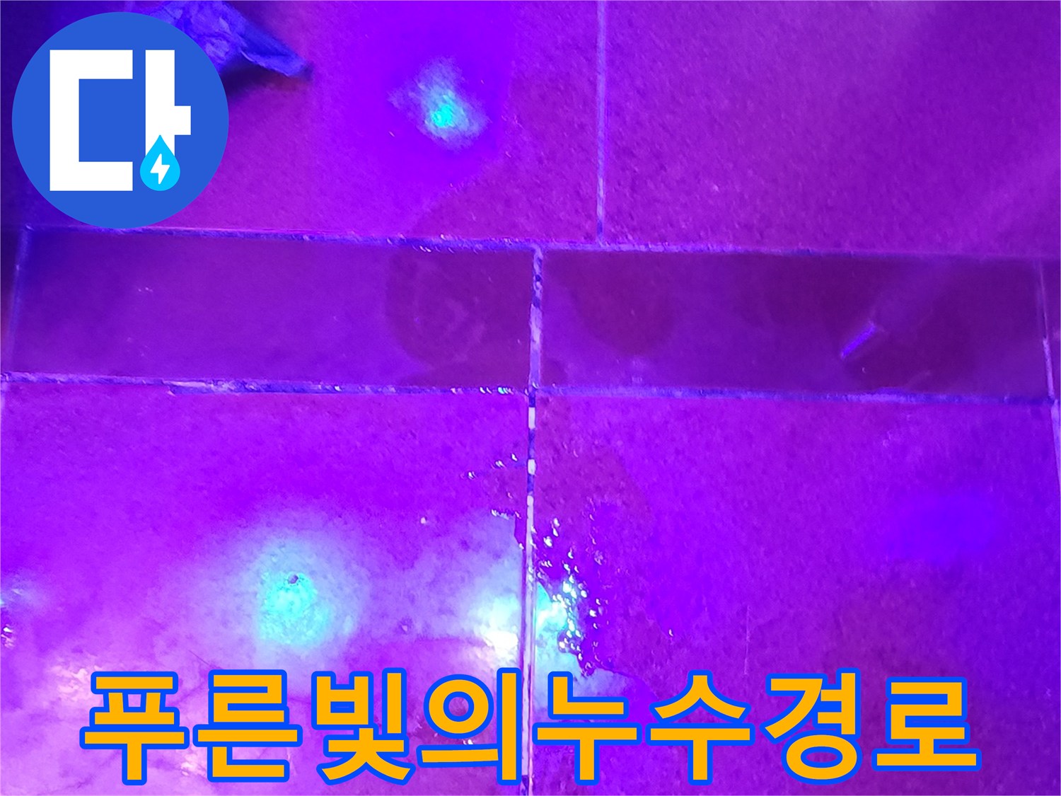 자외선-조명-하에-확인된-타일-틈새-물길