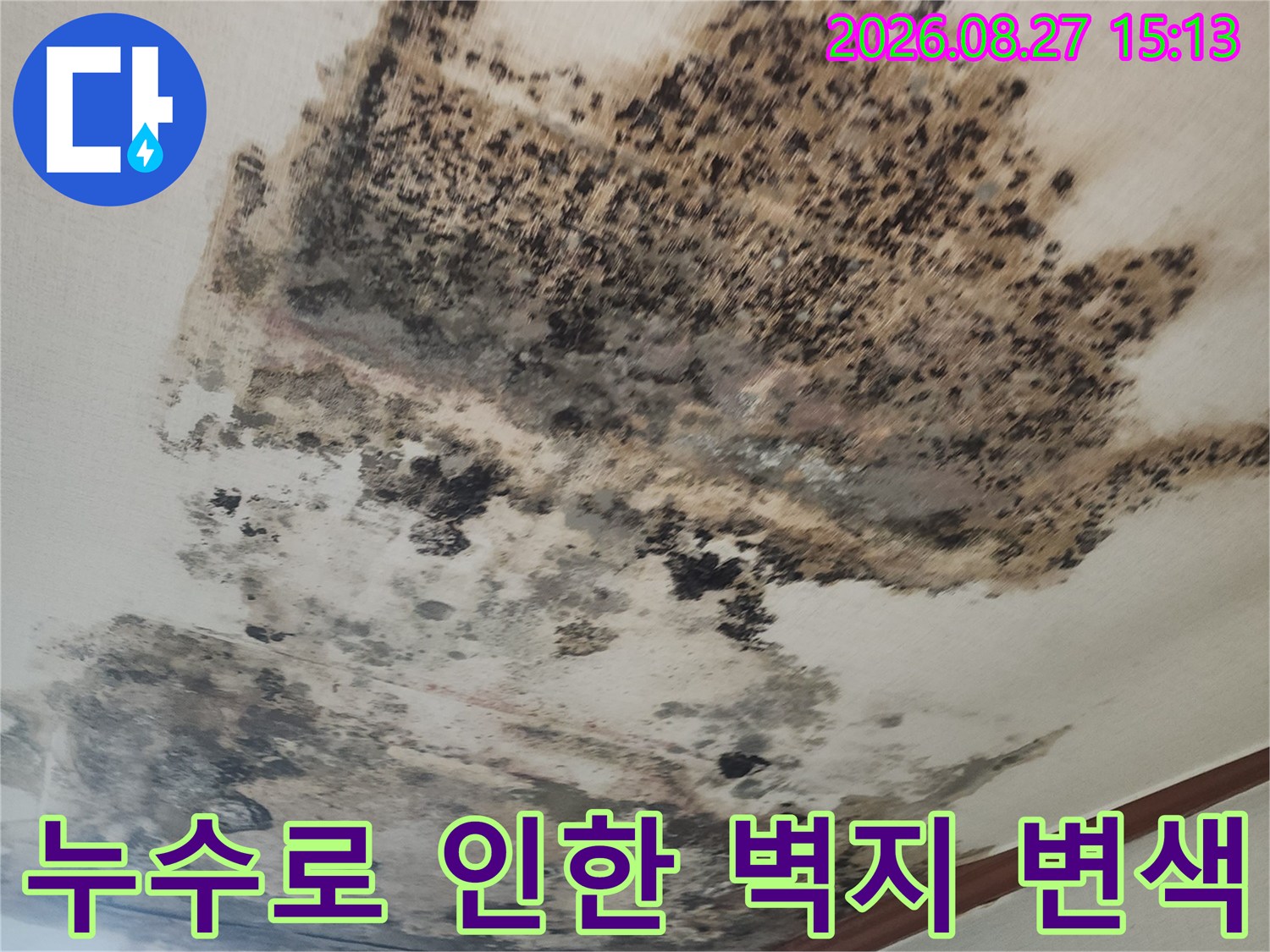 검게 변한 천장 부분-누수 발생으로 인한 곰팡이 오염 현장입니다