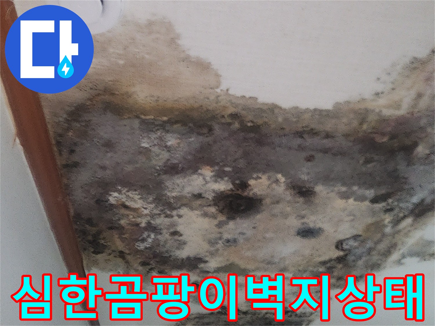 누수-현장의-심각한-벽지-곰팡이-오염-부위