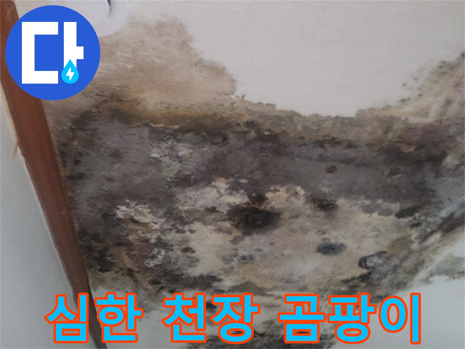 누수가-발생한-거실-천장의-광범천적인-곰팡이-및-벽지-변색