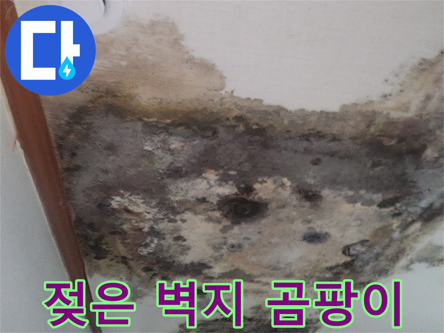 물샘-현상으로-인해-심하게-오염된-거실-천장-벽지-사진