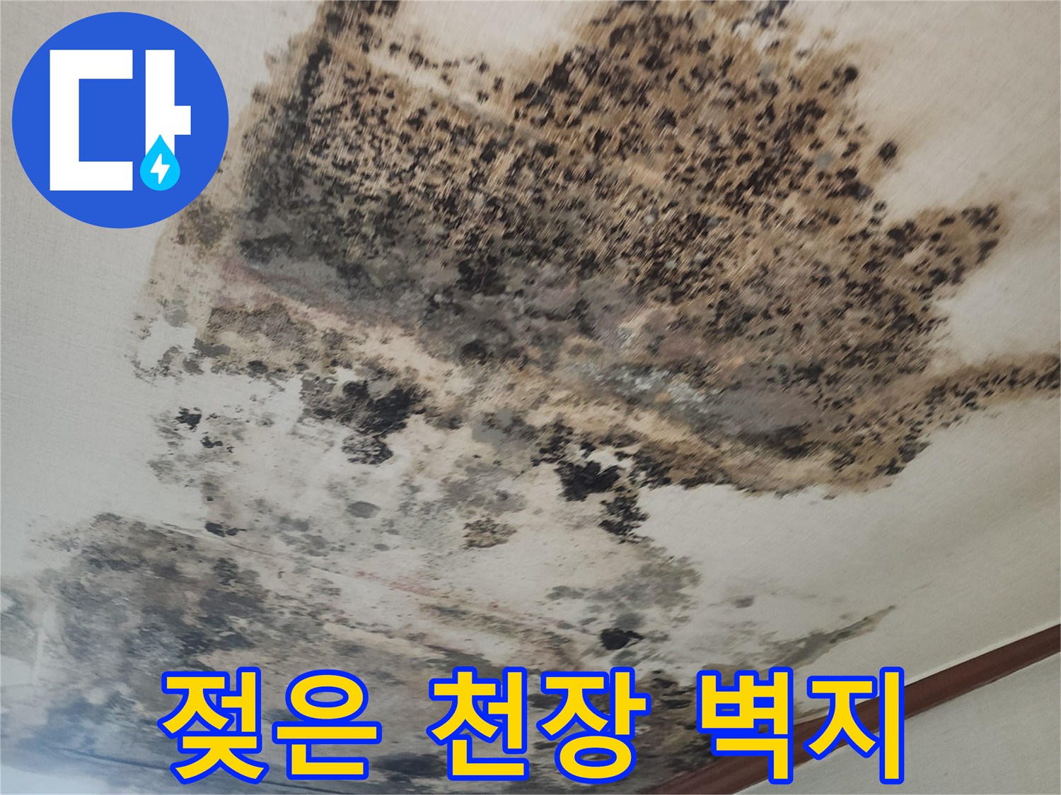 습기로 인해 변색되고 부풀어 오른 천장 벽지 현장