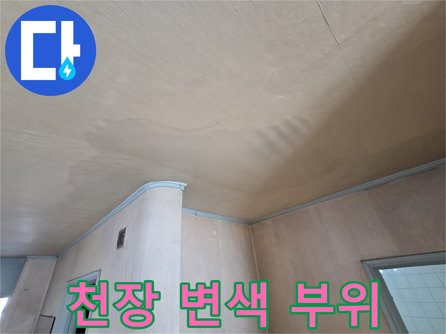 천장 마감재의 젖은 얼룩 - 도봉구 현장 점검 기록