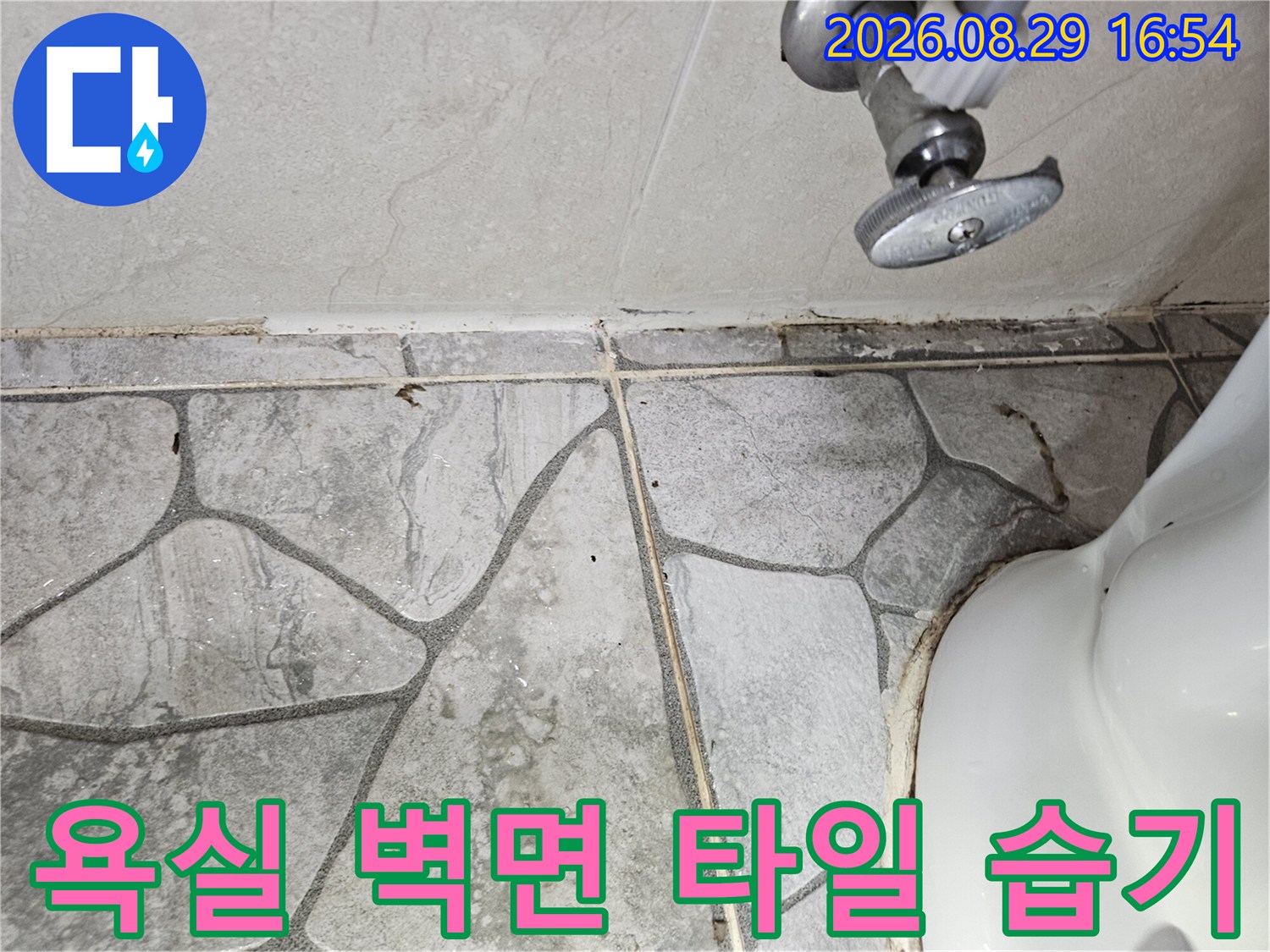상계동 아파트 현장 - 습기가 머문 화장실 벽면 타일 줄눈 부위