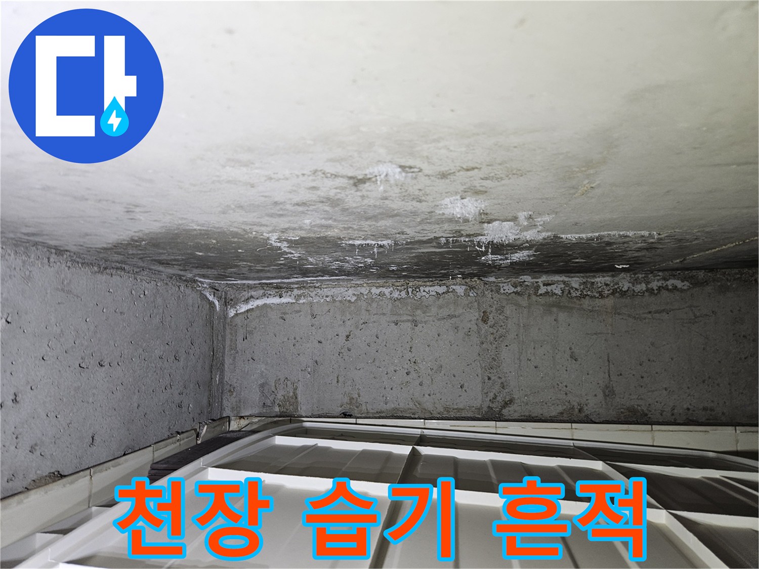 상계동-현장-천장-콘크리트-습기-및-오염