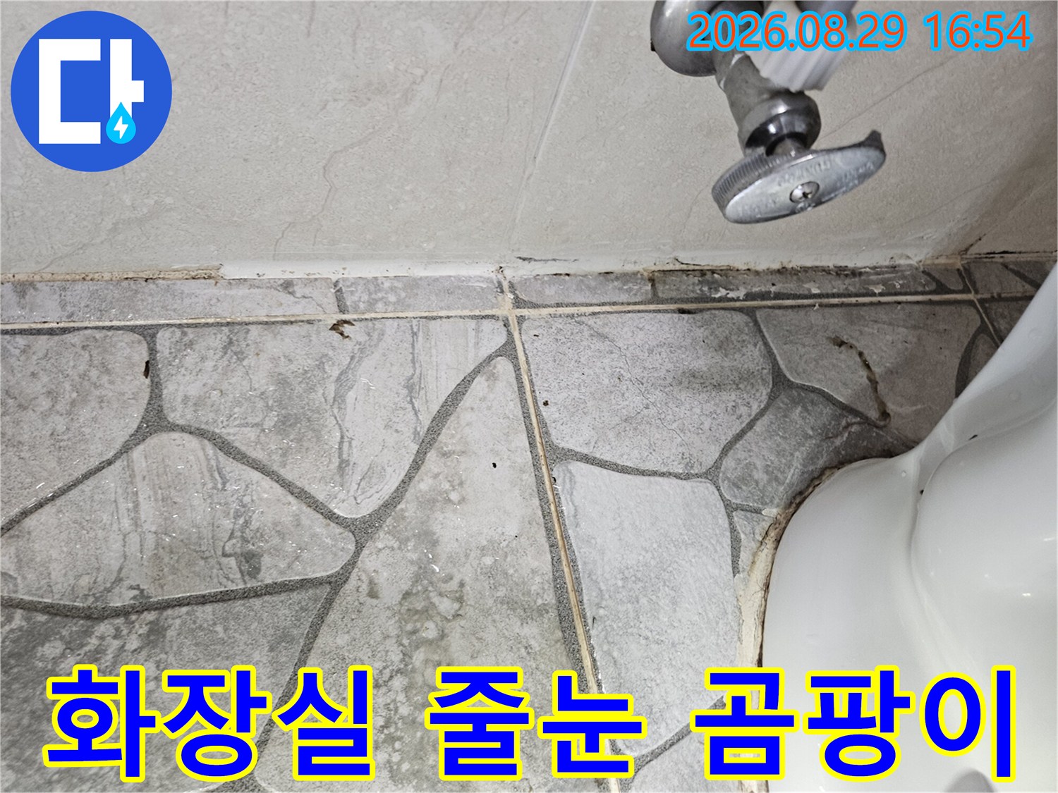 상계동 현장의 화장실 타일 사이 줄눈에 생긴 곰팡이와 습기 상태입니다.
