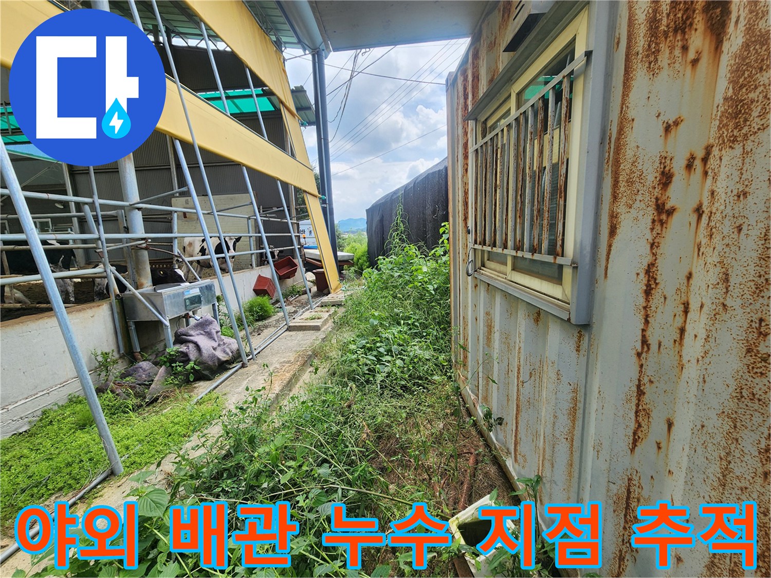 수풀 사이로 드러난 배관 주변의 습기를 통해 누수 위치를 찾는 과정입니다.