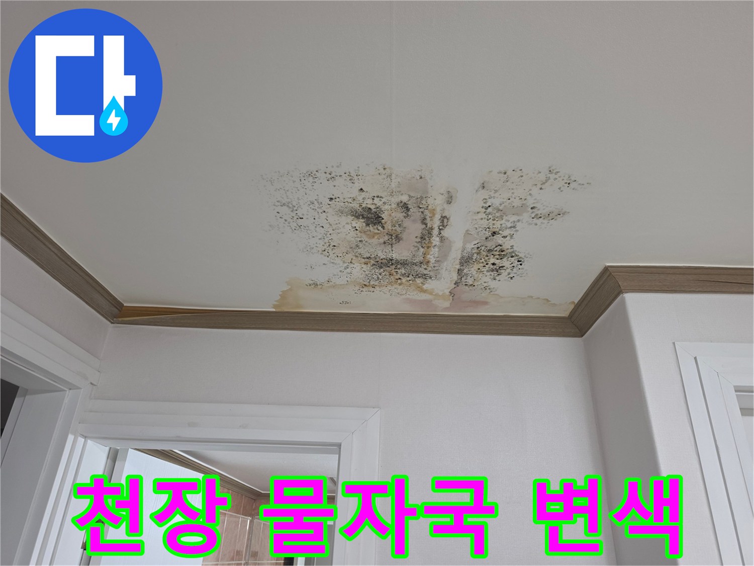 금산군-아파트-천장-누수-흔적-및-변색-상태