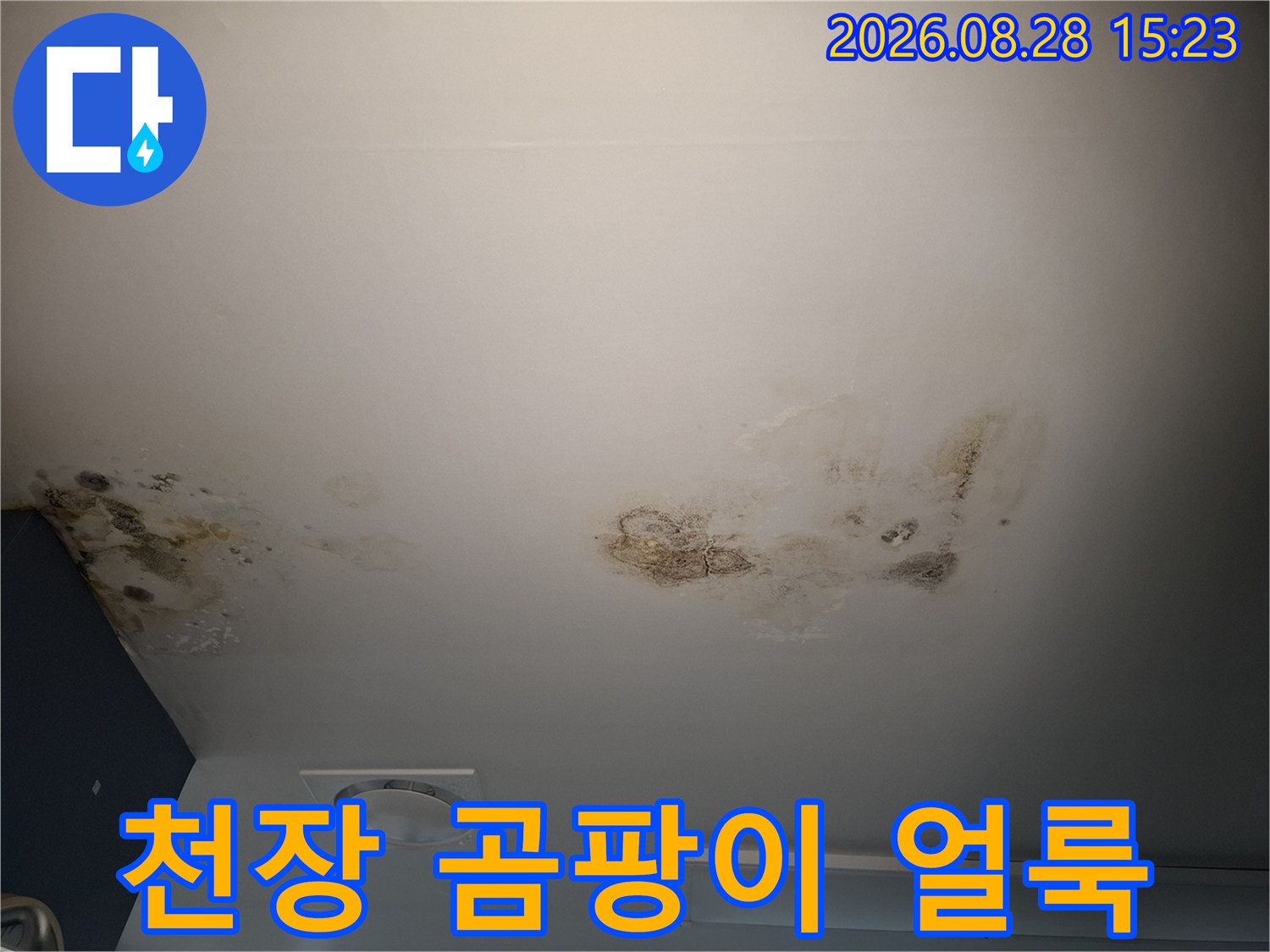 광명 철산동 병실 천장에 발생한 곰팡이와 물자국 현상입니다.