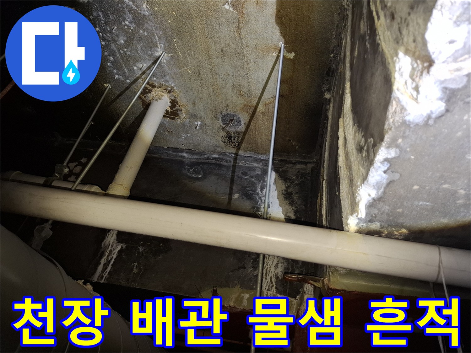 배관 주변의 젖은 천장 구조물 상태