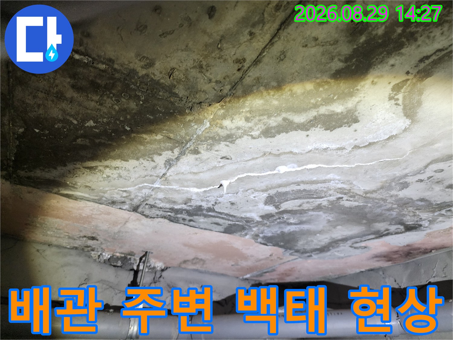 아파트 화장실-천장 배관 주위로 발생한 콘크리트 누수 자국과 백태