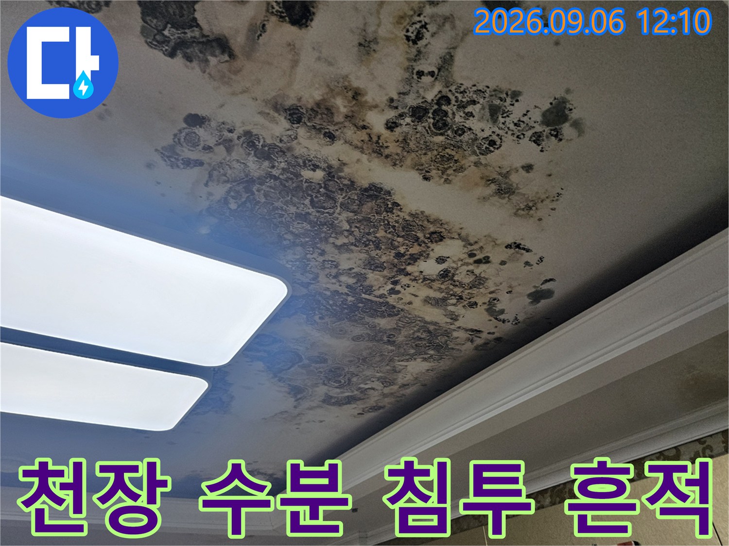 물샘 현상으로 인해 변색되고 곰팡이가 발생한 천장 마감재